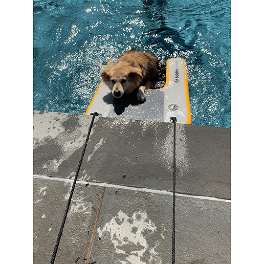 Solstice Watersports Inflatable Mini Pupplank Dog Ramp - Pacific Sailboat Supply